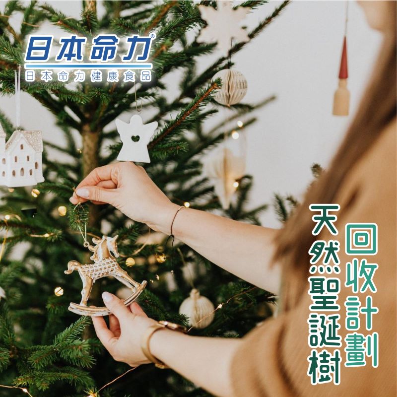 噢❣️聖誕樹🎄托它歸「家」🏡