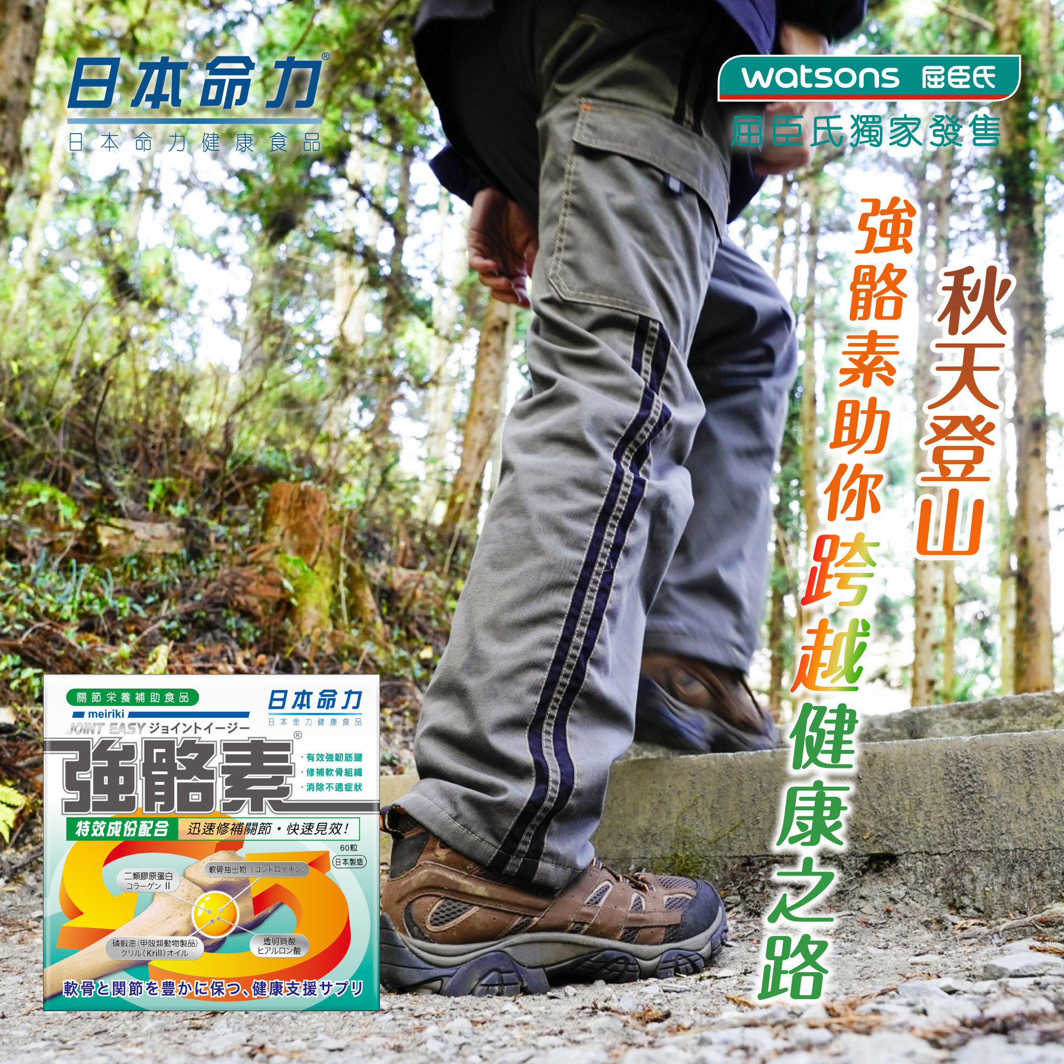 【秋天登山🏔 強骼素助你跨越健康之路】