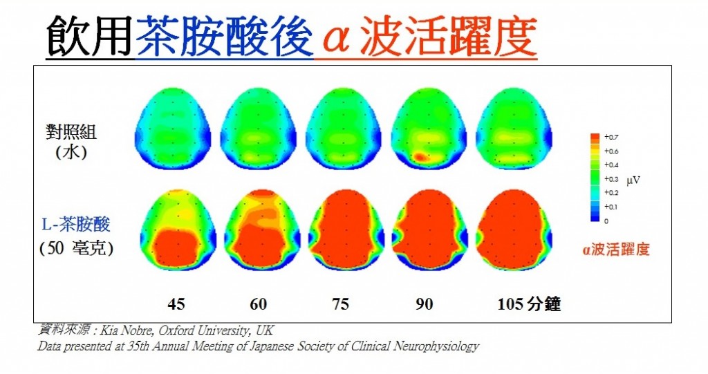 逆转大脑机能衰退提升脑部「转数」3